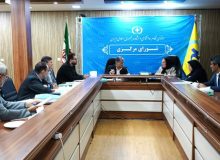کارگاه‌های کاربردی رایگان برای اعضای سازمان نظام روانشناسی  برگزار می‌شود
