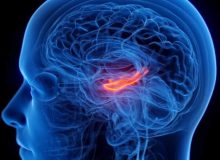 کوچک شدن مرکز حافظه مغز در افراد افسرده