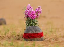 قامت انسان ایرانی در آیینهی دفاع مقدس