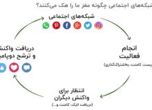 نقش هورمون‌ها در استفاده از شبکه‌های اجتماعی؛ دوپامین، کورتیزول و خواب